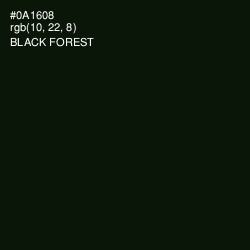 #0A1608 - Black Forest Color Image